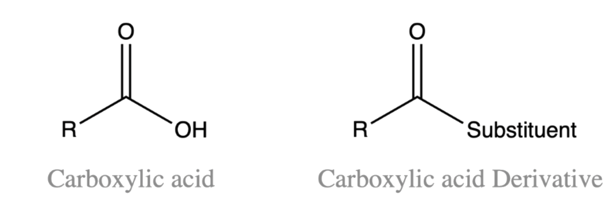 language_of_organic_chemistry_30.png