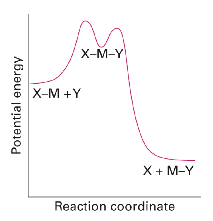 catalysis_1.png