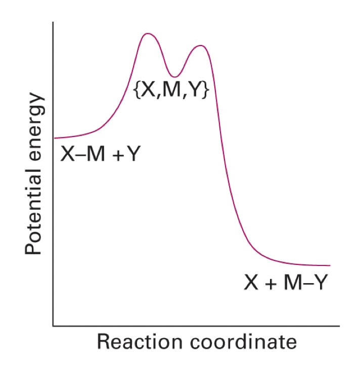 catalysis_2.png