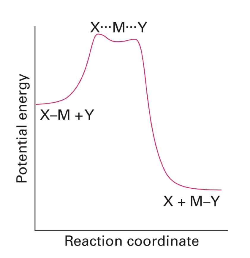 catalysis_3.png