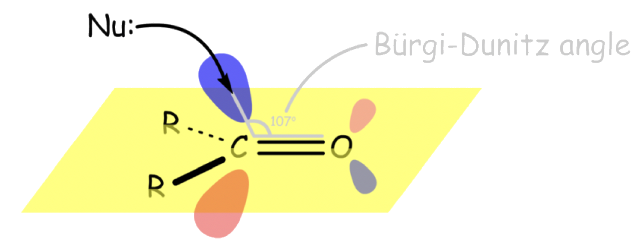 carbonyl_derivatives_2.png