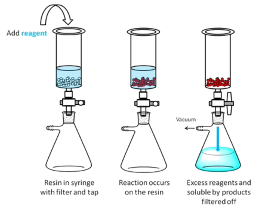 biopolymers_1.png