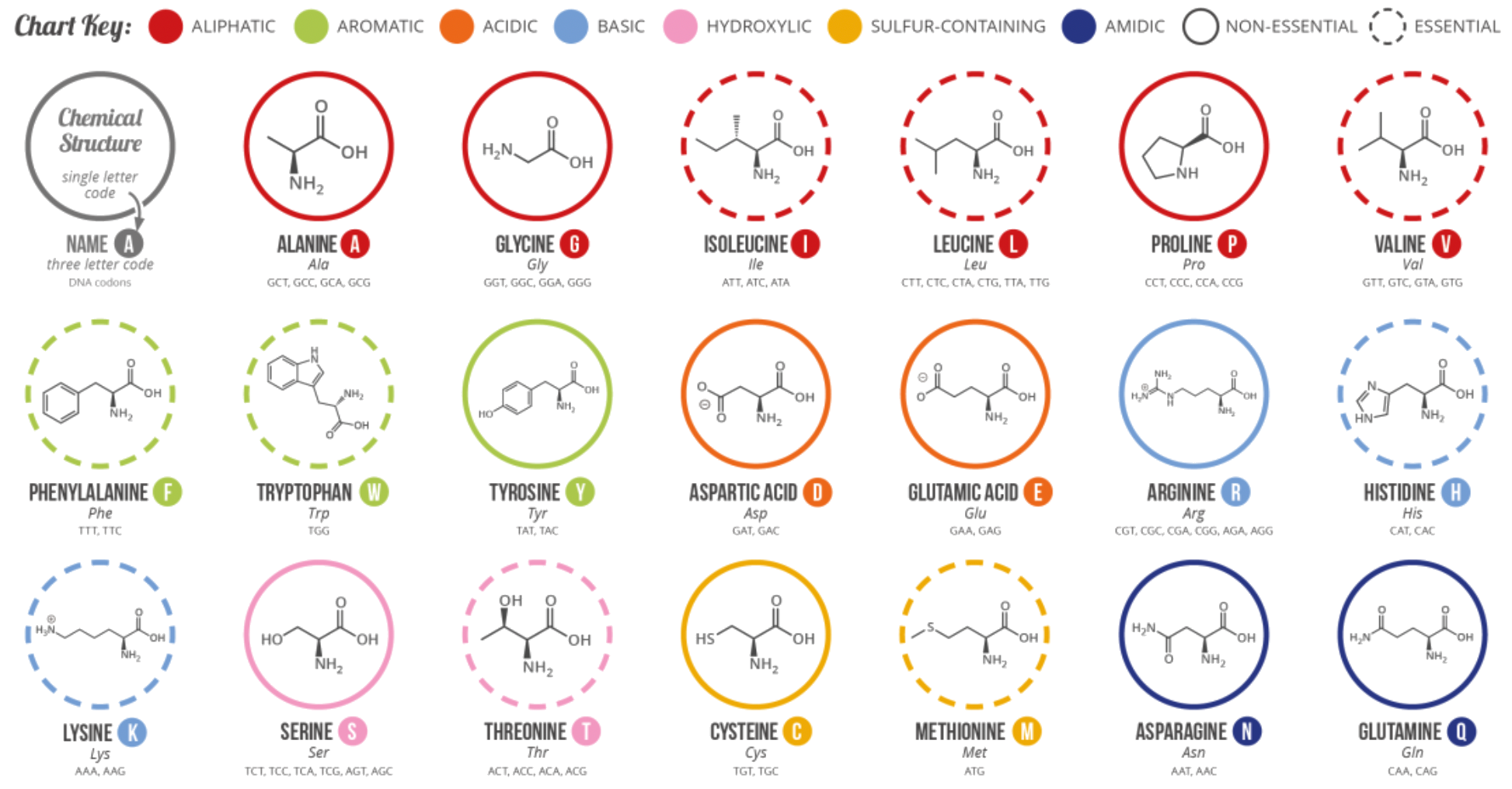 biopolymers_4.png