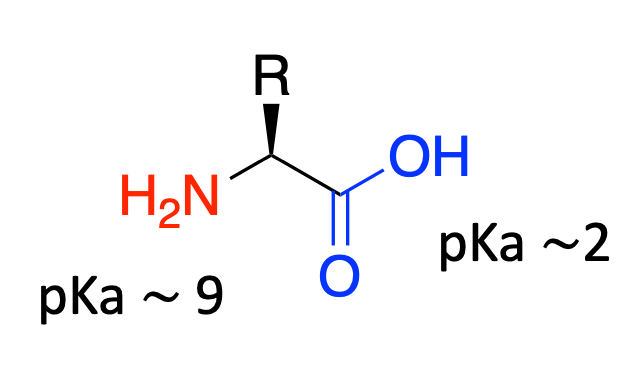 biopolymers_5.png