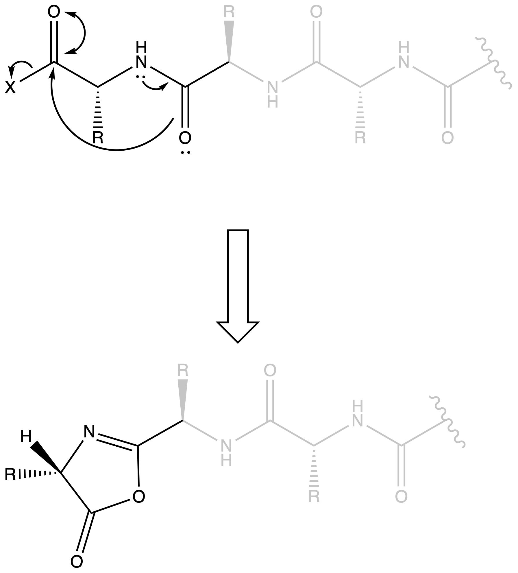 biopolymers_52.png