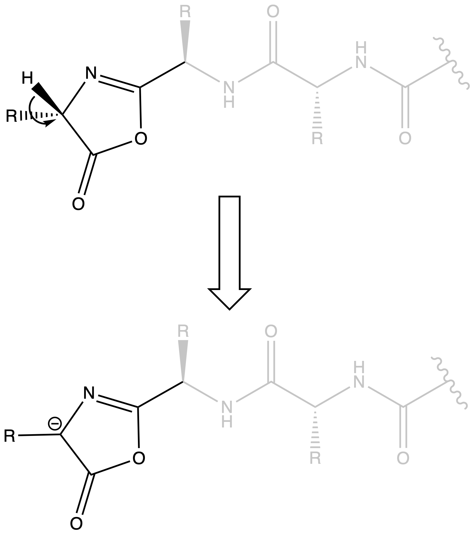 biopolymers_53.png