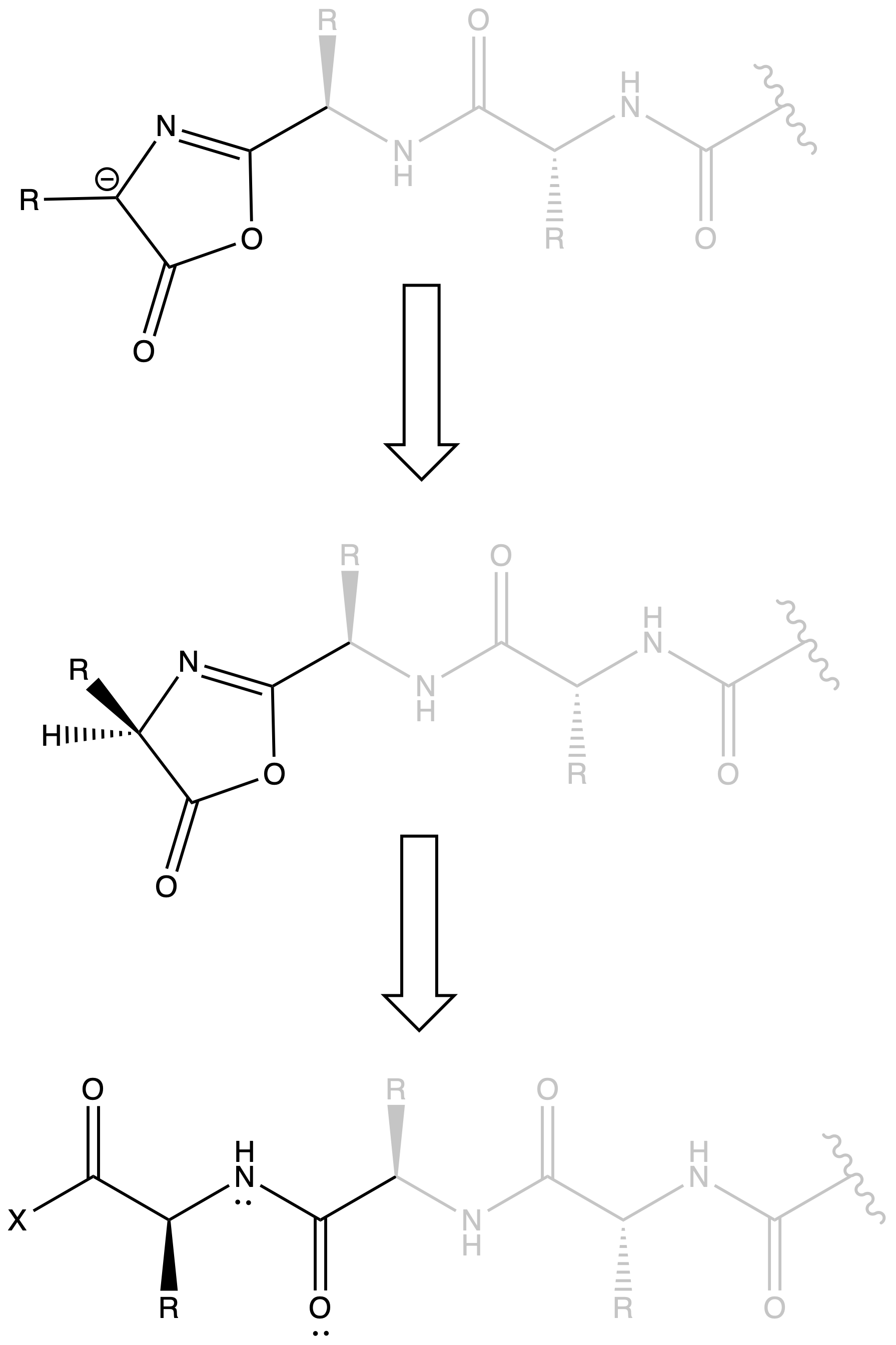 biopolymers_54.png