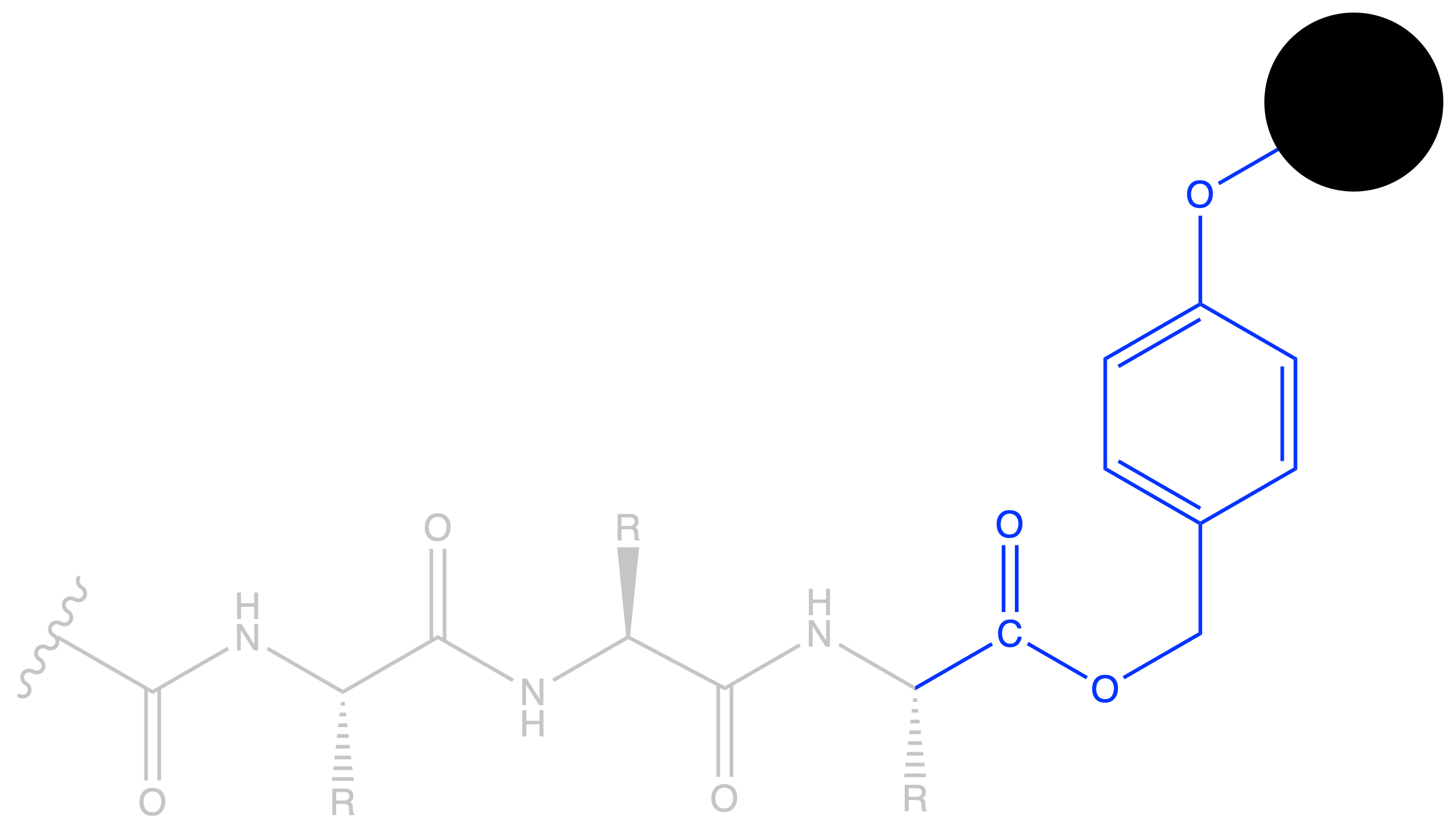 biopolymers_57.png