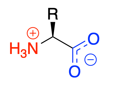 biopolymers_6.png