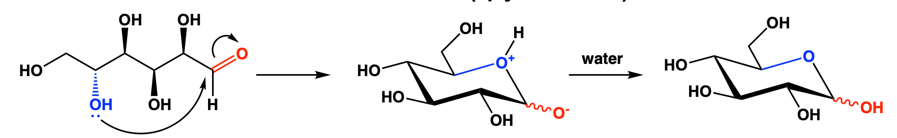 biopolymers_68.png