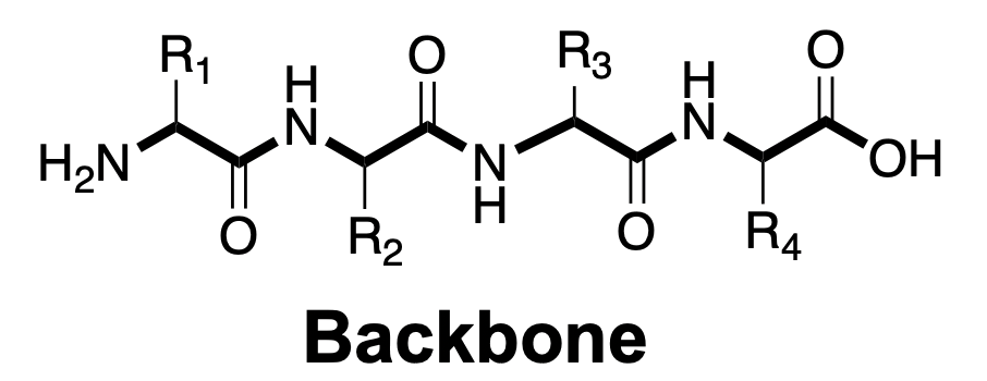 biopolymers_8.png