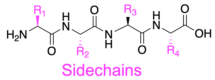 biopolymers_9.png