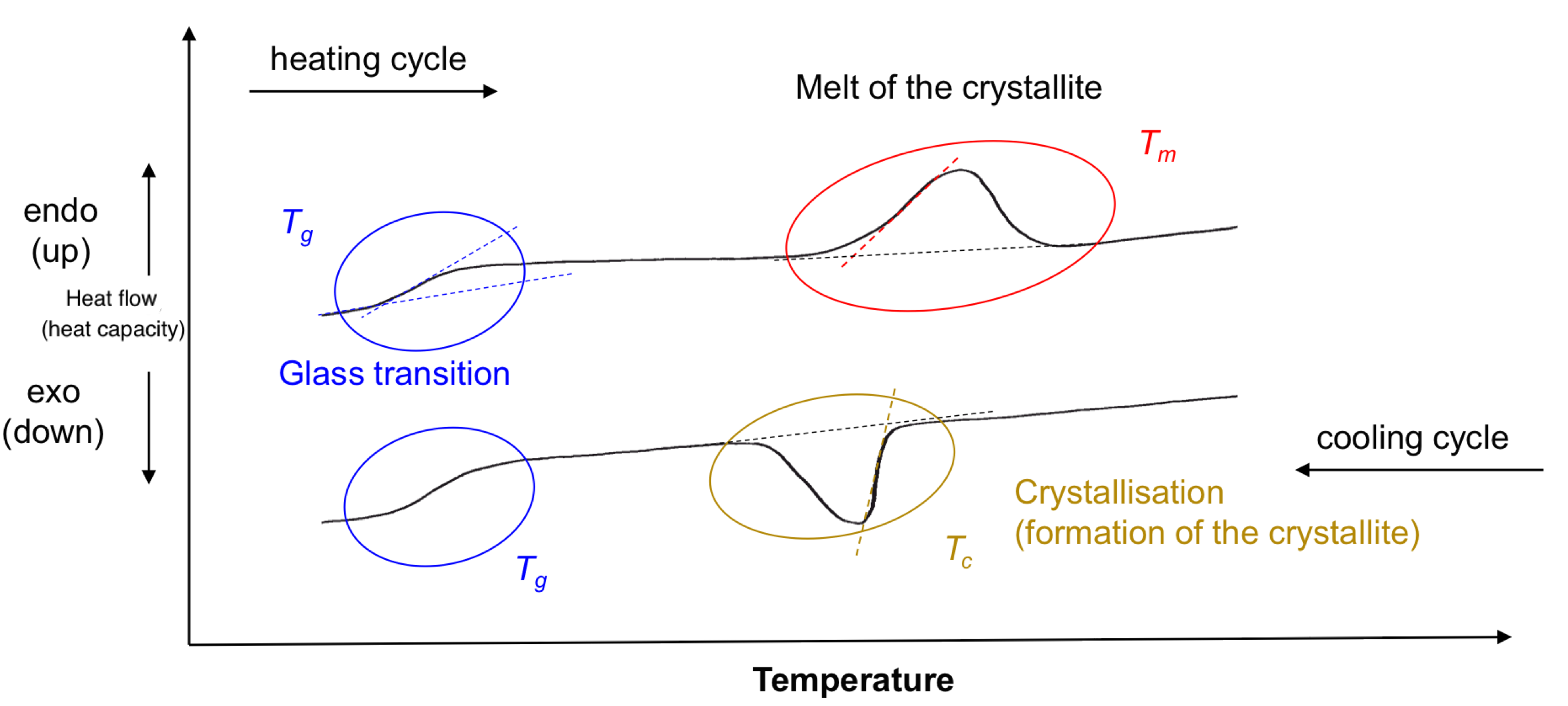 polymer_chemistry_25.png